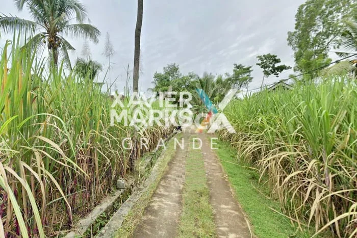 Lahan Investasi Lokasi Bantur Malang SHM Lahan Investasi Lokasi Bantur Malang SHM