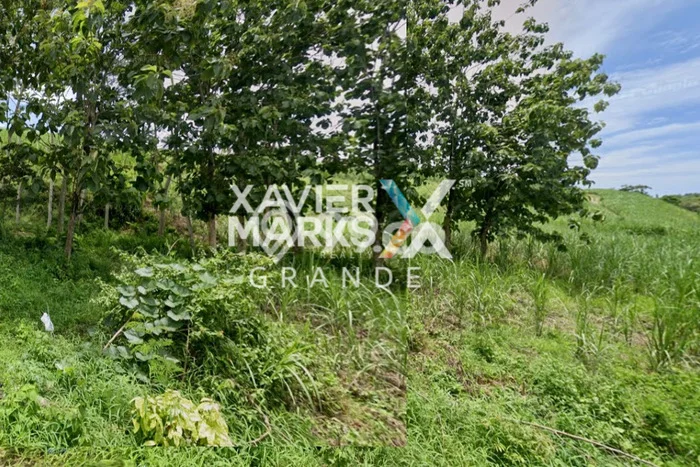 Lahan Investasi Lokasi Bantur Malang SHM Lahan Investasi Lokasi Bantur Malang SHM