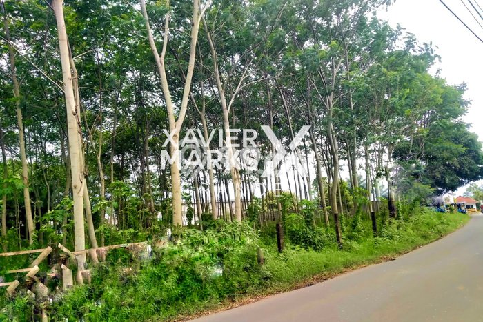 Kavling Tanah untuk Dijual di Bandulan, Malang, Luas 13347m2 Kavling Tanah untuk Dijual di Bandulan, Malang, Luas 13347m2