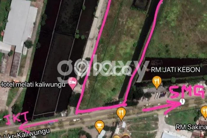 Tanah Kavling untuk Dijual di Kaliwungu Kendal 15000m2 Tanah Kavling untuk Dijual di Kaliwungu Kendal 15000m2