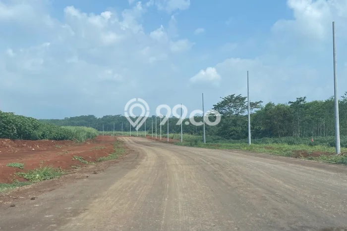 Tanah Dijual Lokasi Tulis Batang - Tanah Dijual Lokasi Tulis Batang -