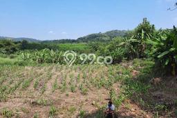 Kavling Tanah di Gunung Pati Dijual Luas 270000m2 Legalitas - Kavling Tanah di Gunung Pati Dijual Luas 270000m2 Legalitas -