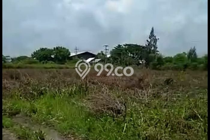 Jarang Ada! Tanah di Widang Punya Luas 40000m2 SHM Jarang Ada! Tanah di Widang Punya Luas 40000m2 SHM