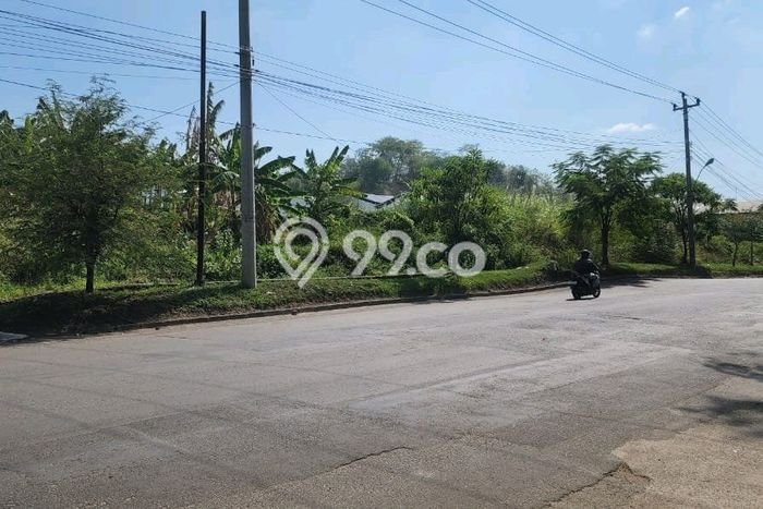 Tanah Kavling di Ngaliyan Semarang Disewakan dengan Luas 12000m2 Tanah Kavling di Ngaliyan Semarang Disewakan dengan Luas 12000m2