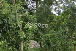 Tanah Dijual di Bekasi Seluas 8407m2 Strategis Tanah Dijual di Bekasi Seluas 8407m2 Strategis