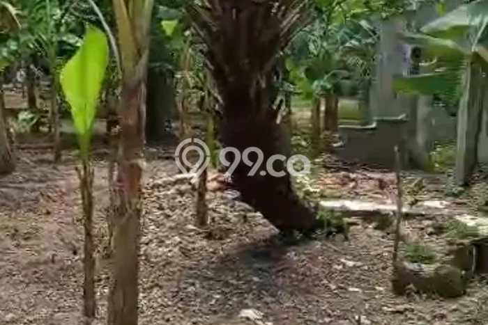Lahan Kosong Dijual di Cinangka, Serang, Luas 1920m2 Area Strategis Lahan Kosong Dijual di Cinangka, Serang, Luas 1920m2 Area Strategis