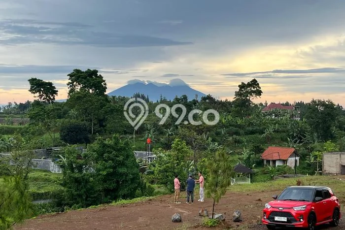 Tanah Dijual Area Strategis di Puncak Bogor 530m2 Tanah Dijual Area Strategis di Puncak Bogor 530m2