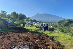 Tanah Lokasi Prima Kawasan Puncak, Luas 200m², Lingkungan Asri, Akses Puncak, Bogor, Bogor Tanah Lokasi Prima Kawasan Puncak, Luas 200m², Lingkungan Asri, Akses Puncak, Bogor, Bogor
