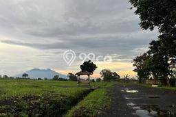 Tanah Dijual di Bogor Seluas 1000m2 Strategis Tanah Dijual di Bogor Seluas 1000m2 Strategis