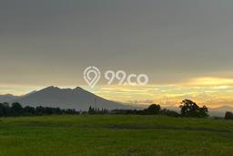 Lahan untuk Dijual Lokasi Cisarua, Bogor Luas 1000m2 SHM Lahan untuk Dijual Lokasi Cisarua, Bogor Luas 1000m2 SHM