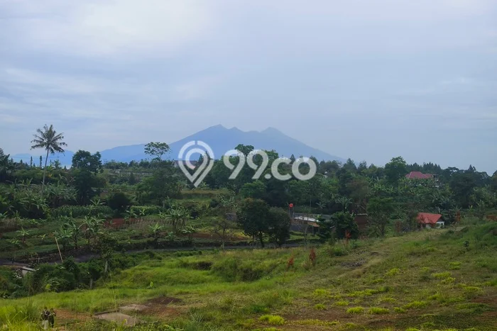 Untuk Dijual Tanah di Bogor, Luas 440m2 SHM Untuk Dijual Tanah di Bogor, Luas 440m2 SHM