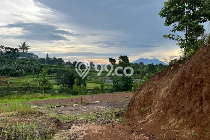 Tanah Dijual Area Strategis di Puncak Bogor 500m2 Tanah Dijual Area Strategis di Puncak Bogor 500m2