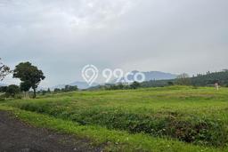 Tanah Investasi Dijual di Bogor Punya Luas 1000m2 Tanah Investasi Dijual di Bogor Punya Luas 1000m2