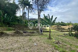 Tanah Kavling Dijual di Puncak, Bogor dengan Luas Tanah 1000m2 Tanah Kavling Dijual di Puncak, Bogor dengan Luas Tanah 1000m2