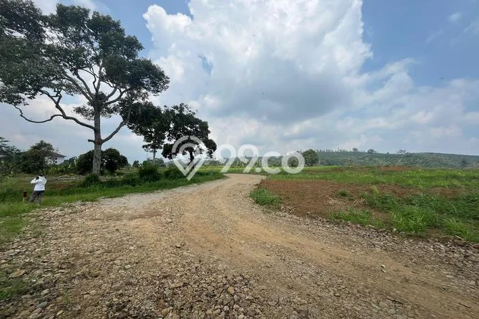Dijual Tanah 250m2 di Puncak, Bogor Dijual Tanah 250m2 di Puncak, Bogor