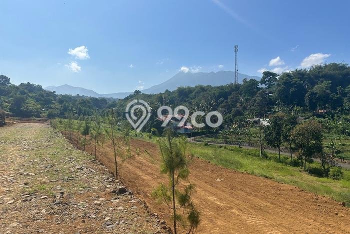 Dijual Tanah di Bogor, Luas 500m2 SHM Dijual Tanah di Bogor, Luas 500m2 SHM