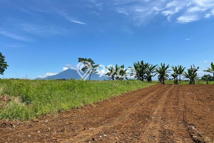 Lahan Strategis di Cisarua Dijual dengan Luas 275m2 Lahan Strategis di Cisarua Dijual dengan Luas 275m2