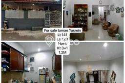 Dijual Rumah Modern 4 KT di Taman Yasmin, Bogor Dijual Rumah Modern 4 KT di Taman Yasmin, Bogor