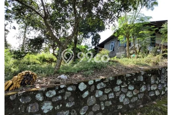 Tanah Kavling Dijual di Mojokerto dengan Spesifikasi 4191m2 Tanah Kavling Dijual di Mojokerto dengan Spesifikasi 4191m2