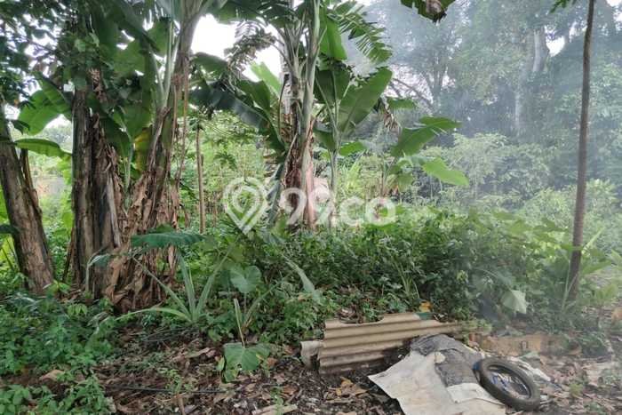 Tanah Kosong Dijual di Tangerang Selatan dengan Area 2498m2 Tanah Kosong Dijual di Tangerang Selatan dengan Area 2498m2