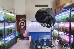 Dijual Rumah 3 Kamar Lokasi Strategis Bagus dan Strategis di Medan Perjuangan Dijual Rumah 3 Kamar Lokasi Strategis Bagus dan Strategis di Medan Perjuangan
