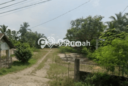 Lahan Kosong Dijual di Pulo Aceh, Aceh Besar, Luas 4320m2 Area Strategis Lahan Kosong Dijual di Pulo Aceh, Aceh Besar, Luas 4320m2 Area Strategis
