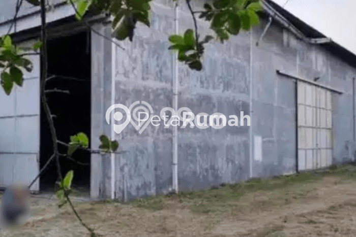 Unit Gudang Strategis di Percut Sei Tuan, Deli Serdang Potensi Cuan Besar Unit Gudang Strategis di Percut Sei Tuan, Deli Serdang Potensi Cuan Besar
