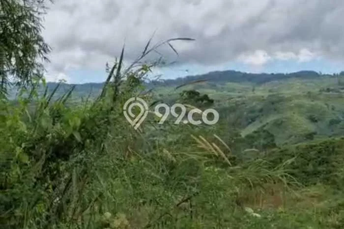 Lahan Dijual Lokasi Cianjur, Cianjur dengan Luas Tanah 80000m2 dan Status SHM Lahan Dijual Lokasi Cianjur, Cianjur dengan Luas Tanah 80000m2 dan Status SHM