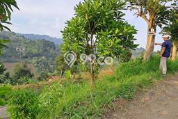Lahan Dijual Lokasi Strategis di Bandung dengan Luas 1000m2 Lahan Dijual Lokasi Strategis di Bandung dengan Luas 1000m2