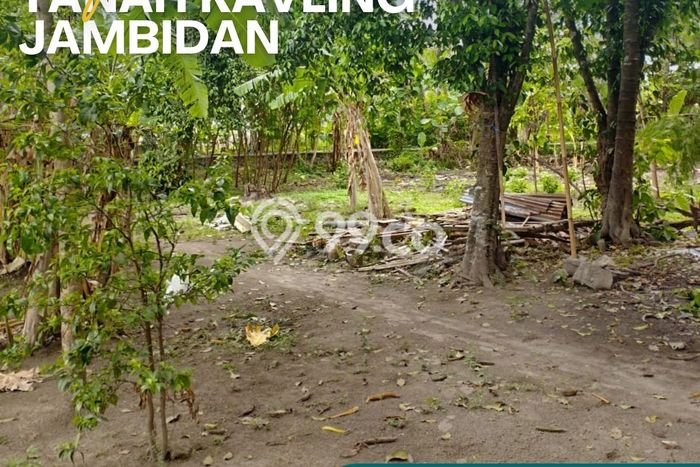 Tanah Dijual di Bantul Seluas 533m2 Strategis Tanah Dijual di Bantul Seluas 533m2 Strategis