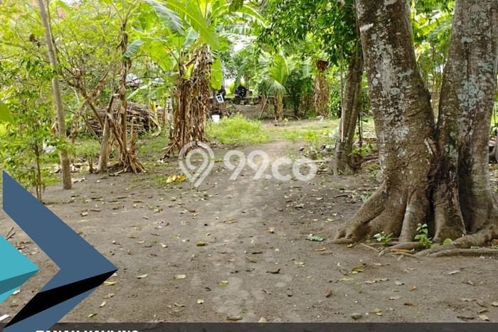 Tanah Dijual di Bantul Seluas 533m2 Strategis Tanah Dijual di Bantul Seluas 533m2 Strategis