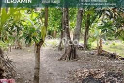 Tanah Kavling Dijual di Plered, Bantul dengan Luas Tanah 533m2 Tanah Kavling Dijual di Plered, Bantul dengan Luas Tanah 533m2