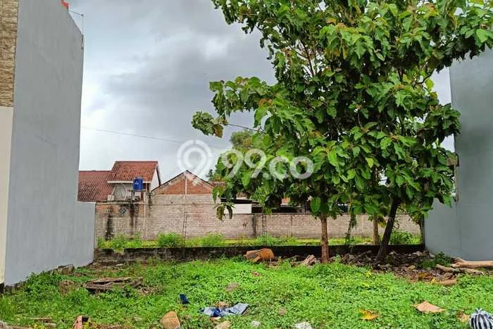 Rumah Luas Asri 3 KT Siap Pakai di Bantul Yogyakarta Rumah Luas Asri 3 KT Siap Pakai di Bantul Yogyakarta