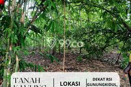 Kavling Tanah Dijual di Wonosari, Gunung Kidul, Luas 548m2 Area Strategis Kavling Tanah Dijual di Wonosari, Gunung Kidul, Luas 548m2 Area Strategis