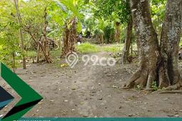 Lahan Dijual Lokasi Banguntapan, Bantul dengan Luas Tanah 533m2 dan Status SHM Lahan Dijual Lokasi Banguntapan, Bantul dengan Luas Tanah 533m2 dan Status SHM