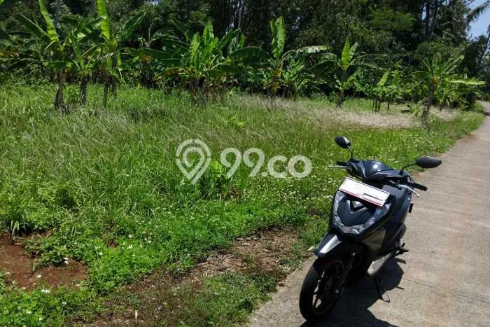 Tanah Investasi Dijual di Salatiga Punya Luas 1080m2 Tanah Investasi Dijual di Salatiga Punya Luas 1080m2