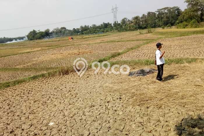 Lahan Kosong Dijual di Serang dengan Area 100000m2 Lahan Kosong Dijual di Serang dengan Area 100000m2