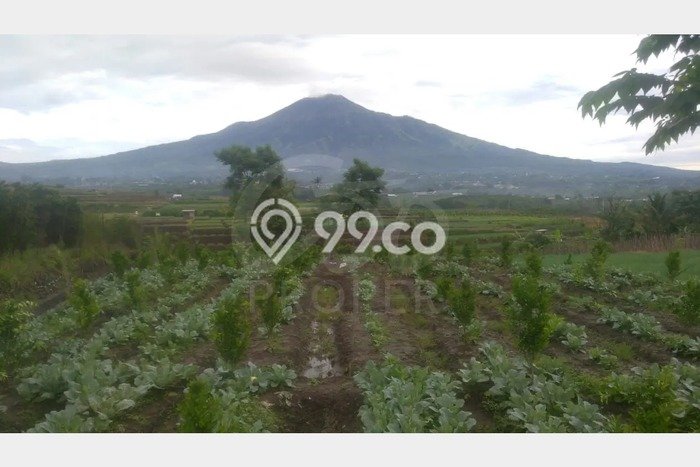 Kavling Tanah di Junrejo Dijual Luas 1200m2 Legalitas SHM Kavling Tanah di Junrejo Dijual Luas 1200m2 Legalitas SHM