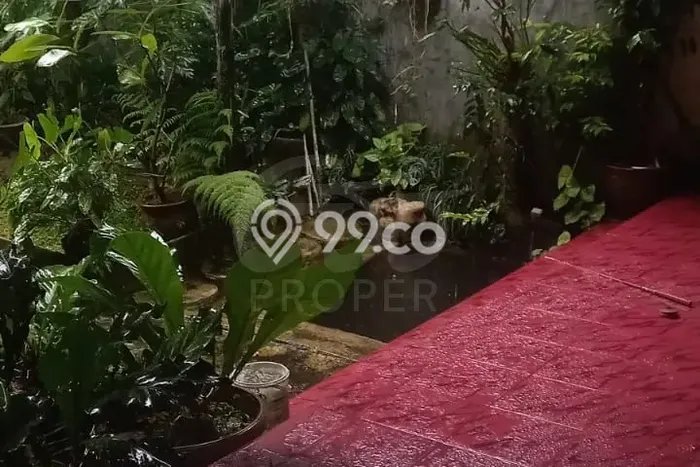 Rumah Murah Dijual di Gunung Puyuh, Sukabumi Harga Rp 300 Juta Rumah Murah Dijual di Gunung Puyuh, Sukabumi Harga Rp 300 Juta