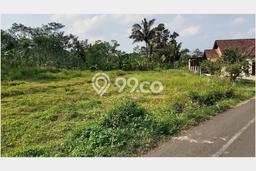 Kavling Tanah di Sidorejo Dijual Luas 5545m2 Legalitas SHM Kavling Tanah di Sidorejo Dijual Luas 5545m2 Legalitas SHM