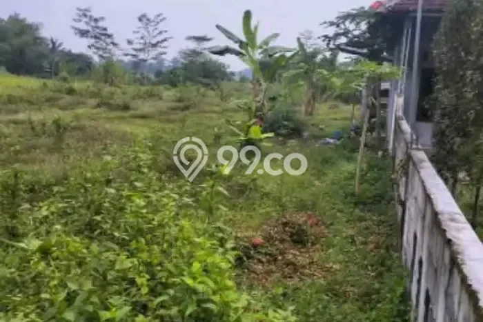 Lahan untuk Dijual di Kajen Pekalongan Luas 2000m2 Lahan untuk Dijual di Kajen Pekalongan Luas 2000m2
