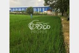 Tanah di Ligung, Majalengka Luas 4604m2 Dijual Segera Tanah di Ligung, Majalengka Luas 4604m2 Dijual Segera
