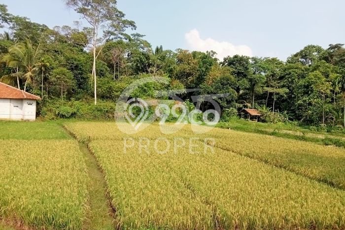 Tanah Kawasan Cipeucang, Luas 3600m2m², Area Potensial, Lingkungan Asri Tanah Kawasan Cipeucang, Luas 3600m2m², Area Potensial, Lingkungan Asri