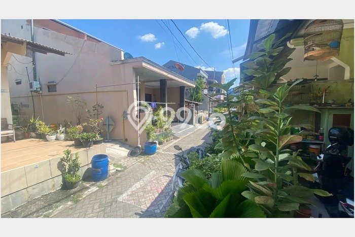 Rumah Sederhana Dijual Lokasi Pedurungan 3 Kamar dengan Luas Tanah 90m2 Rumah Sederhana Dijual Lokasi Pedurungan 3 Kamar dengan Luas Tanah 90m2