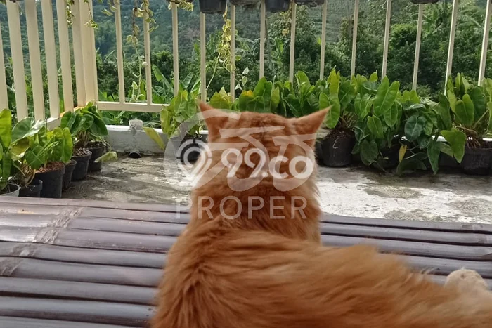 Kost Dijual Lokasi Dau, Malang, Spesifikasi 3 Kamar Tidur dan Luas 90m2 Kost Dijual Lokasi Dau, Malang, Spesifikasi 3 Kamar Tidur dan Luas 90m2