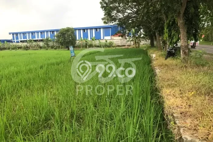 Tanah di Ligung, Majalengka Luas 4604m2 Dijual Segera Tanah di Ligung, Majalengka Luas 4604m2 Dijual Segera
