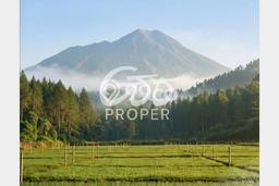 Tanah Kavling untuk Dijual di Ngablak Magelang 65m2 Tanah Kavling untuk Dijual di Ngablak Magelang 65m2