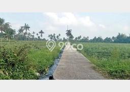 Tanah Strategis Dijual di Tumpang Malang 5768m2 Tanah Strategis Dijual di Tumpang Malang 5768m2