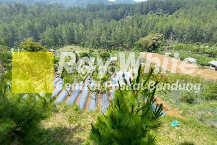 Tanah Kosong Dijual di Bandung Barat dengan Area 4228m2 Tanah Kosong Dijual di Bandung Barat dengan Area 4228m2