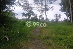 Tanah Dijual Lokasi Pakem, Sleman dengan Luas Tanah 415m2 dan Status SHM Tanah Dijual Lokasi Pakem, Sleman dengan Luas Tanah 415m2 dan Status SHM